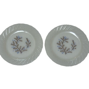 2x Termocrisa Mexico Milk Glass Blue & Brown Floral 7" B/B Plate Swirl Edge